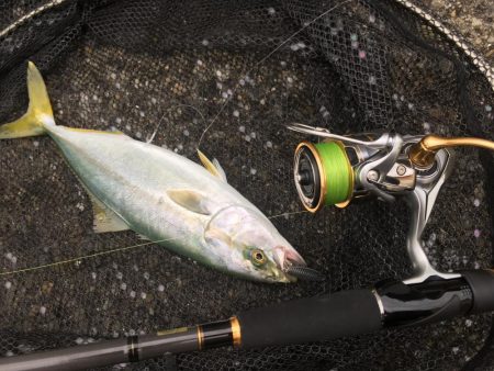 夕マヅメにジグサビキ